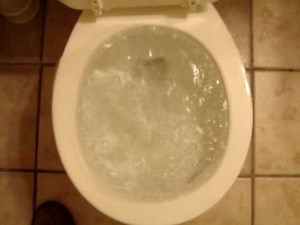 Epic fail: Eljer toilet at Comfort Inn in Charlotte NC