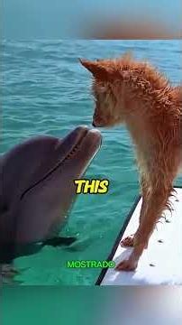 A Dolphin Saved This Puppy! 😭🐬 The Ocean's Most Incredible Friendship ❤️ #wildliferescue #animals