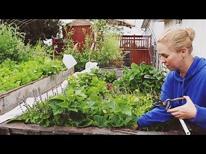How To Build A Pallet Raised Garden Bed From Scratch...And Turn It Into a Greenhouse