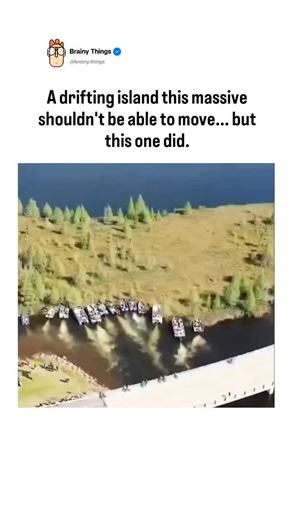 Brainy things on Instagram: "drifting island this massive shouldn’t be able to move… but this one did. What you’re seeing is a floating bog island — a rare chunk of land made of soil, roots, peat, and dense vegetation that isn’t anchored to the lakebed. Instead, it rests on a buoyant layer of organic matter. When strong winds or rising water slip underneath, the entire island can break free and slowly glide across the lake like a living raft 🌿 That’s exactly what happened at Chippewa Flowage, W