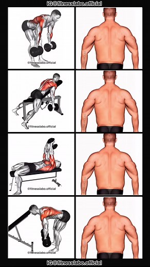 Wider Back Workout Routine with Dumbbells