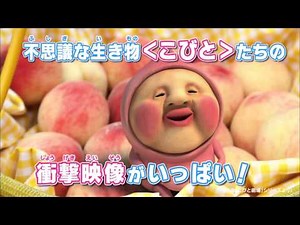 『映画 こびとづかん カクレモモジリの秘密の桃園』映画オリジナル予告編（特報）