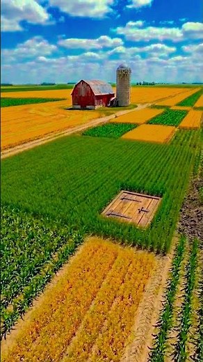 Building the Ultimate Secret Underground Farm Bunker: From Dirt to High-Tech SanctuaryStep inside