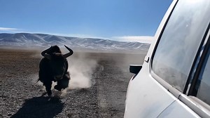 750K views · 1.2K reactions |  怜  A thrilling encounter in...