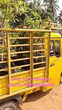 trac delivery only 7095858499