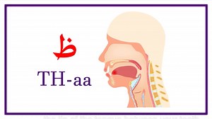 阿拉伯语字母表发音位置讲解Arabic Alphabet Pronunciation