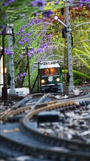 New LGB passenger train run with freshly installed catenary masts ⚡🚂 Smooth garden railway action