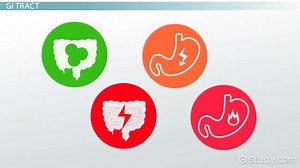 Common Gastrointestinal Disorders & Dietary Interventions
