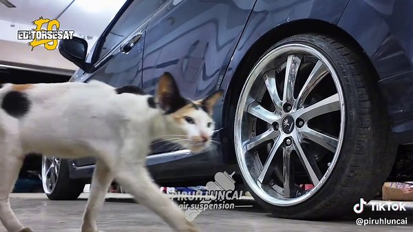 Perodua Axia Air Suspension Installation Guide