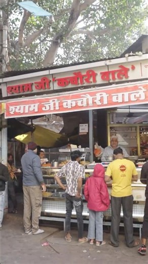 5 diffrent vatiety of kachori in kota #food #foodie #streetfood #kotakachori