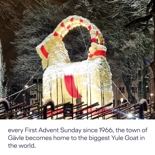 181 reactions · 219 comments | The world is a fascinating place full...