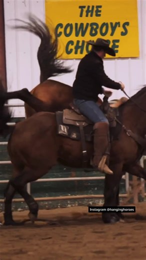 Shane Hadley Rodeo Wreck