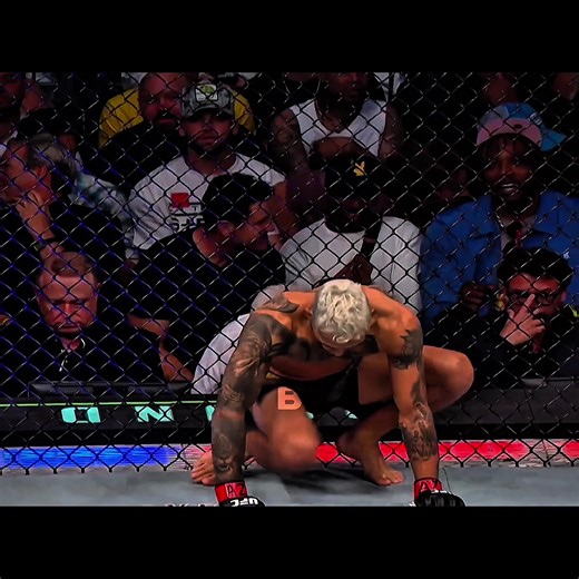 Charles Oliveira Special Edit in Stunning 8K Resolution