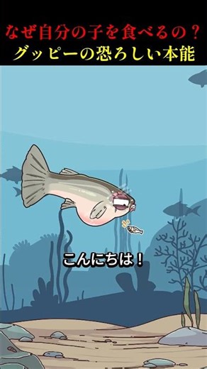 なぜ自分の子を食べるの？グッピーの恐ろしい本能