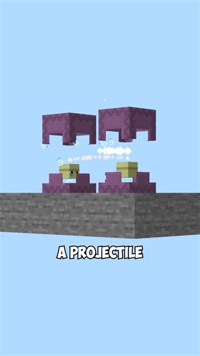 Riss on Instagram: "How Shulkers Reproduce in Minecraft"