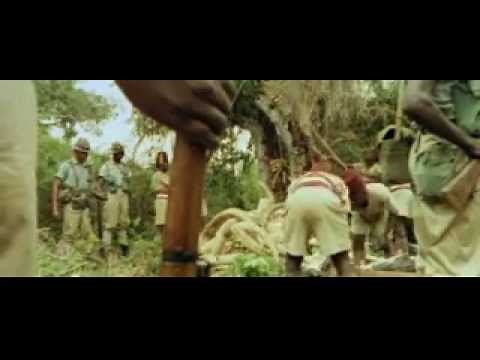 Прощай Африка 1966г.