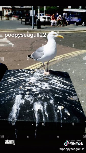 #stitch with @jayyglory #greenscreen