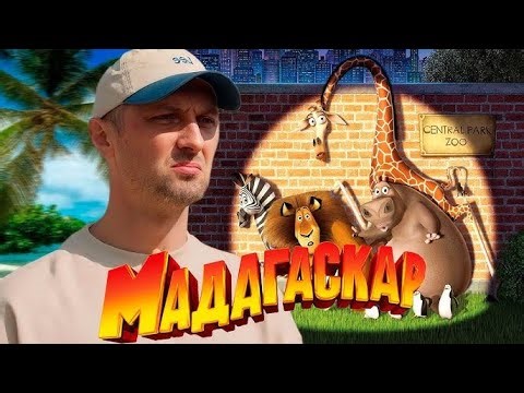 ЗУБАРЕВ СМОТРИТ «МАДАГАСКАР » | ПОЛНЫЙ ФИЛЬМ | ЗУБАРЕВ РЕАКЦИЯ