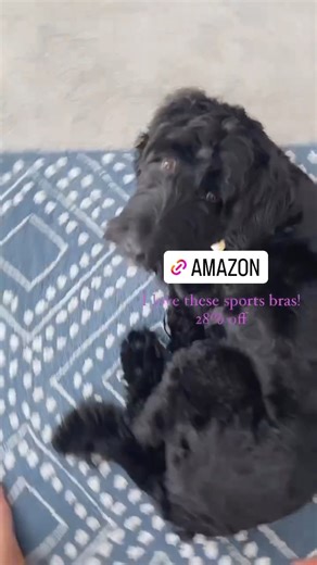 10K views · 16 reactions | A really good sports bra option from Amazon! ✨They are my FAVORITE, fit like a tank top but great support and coverage for $26. Comment LINK to snag it! #amazonfashion #amazonfind #spring #summer #summerfashion #momstyle #casualoutfit | Brittany Young | Facebook