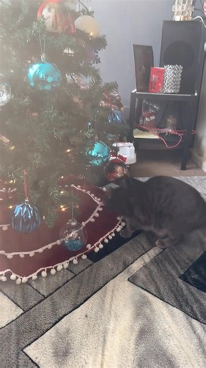 Claire Francis Baker on Reels