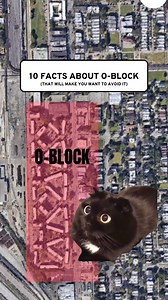 204K views · 2.3K reactions | Facts About O-Block #oblock #chicago #Explained | Kitty Memes | Facebook