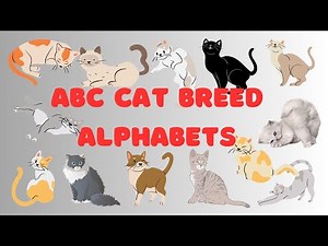 ABC CAT BREED ALPHABETS FOR KIDS | ABC CAT BREEDS | CAT BREED ALPHABETS