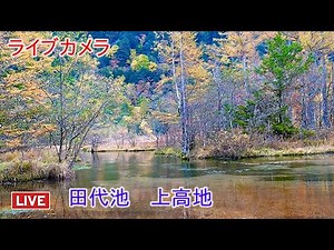 ライブカメラ 田代池 上高地
