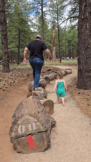 64K views · 65 comments | You can walk this whole trail barefoot ...