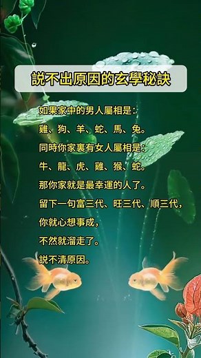 説不出原因的玄學秘訣 #八字 #算命 #五行 #財運 #事業 #運勢 #玄學 #命理 #易經 #易經風水 #面相 #聚財 #福氣 #八字故事