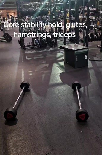 Core stability hold Glutes Shoulders Hamstrings Triceps Gymnastics Supplements Pens #followers #fy #workout #workout #MustWatch
