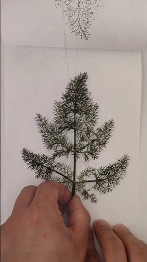 Trace monotype Printing #easy #art