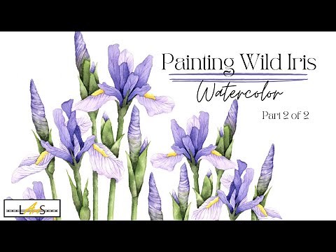 AMAZING 😱 Step by Step Watercolor Painting! Beautiful Wild Iris! Iris Flower!