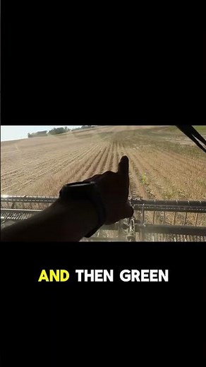 Soil Sampling