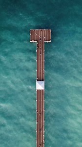 25K views · 399 reactions | Massive Pier Fish #fishing | Ryan Morie Outdoors | Facebook