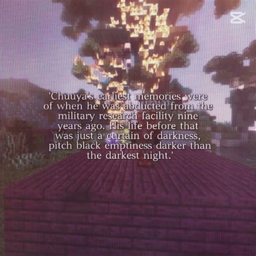 Soldier boy 😔discord in bio #minecraft #edit #dreamsmp #gaming #homiessmp #osmp #optifine #mcskins