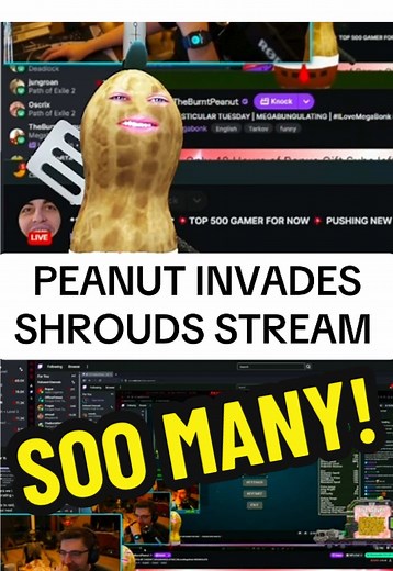 Peanut Invades Shroud's Stream: Infinite Fun!