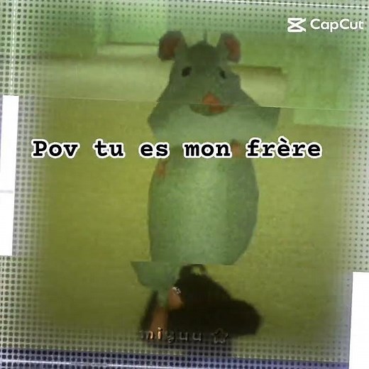 le rat intelligent discret très proche de l'homme