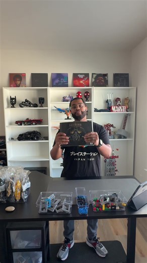 Building the LEGO 1989 Batwing Model