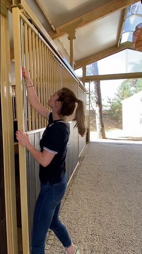 Système Full Open Cheval Liberté