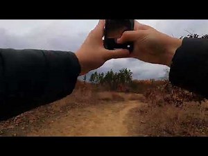 Oak Openings Preserve