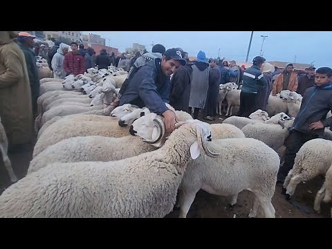 🔥🇲🇦خيرات موجودة في سوق الاسبوعي لحد ولاد عبدون نقدم لكم أتمنة خروف 🐏حولى تاريخ تصوير 1/14/2024