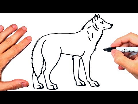 Cómo dibujar un Lobo paso a paso | Dibujo de Lobo Salvaje