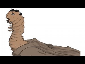 Catapillar transformation (sequence)