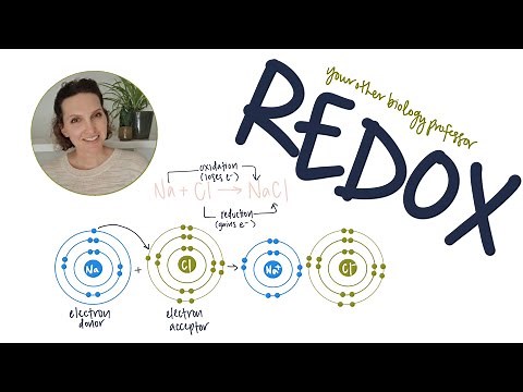 What Are Redox Reactions?