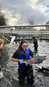 It was a great day for salmon spawning at the hatchery with the @btc_fisheriesaquaculture program students! Want to join the team for some in-depth hands-on learning in the lab, the classroom and out in the field? Seats are available in BTC’s Fisheries & Aquaculture program for winter quarter. Learn more about your options for degrees and certificates at www.btc.edu/fisheries | Bellingham Technical College
