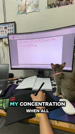 Studying Math with a Cat
