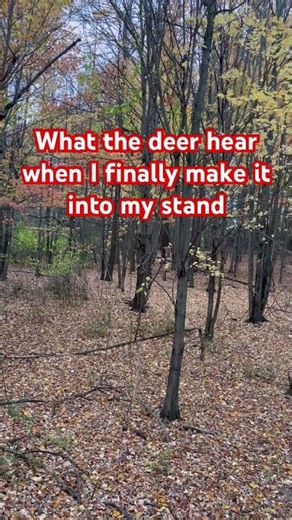 DEER OLYMPICS😂 #hunting #deer #whitetail #woods #hunt #funny #huntingseason #hunter #deerhunting