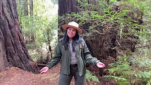 3.3K views · 63 reactions | No matter the language, it's all love!...