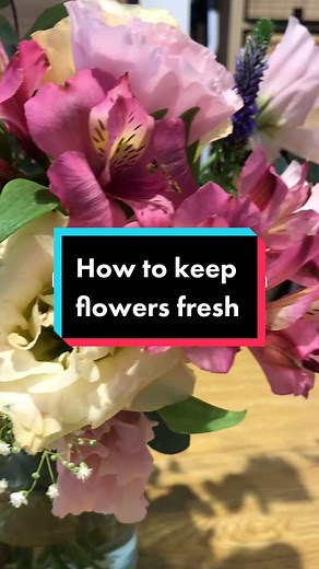Flower Care Tips: How to Keep Your Flowers Fresh