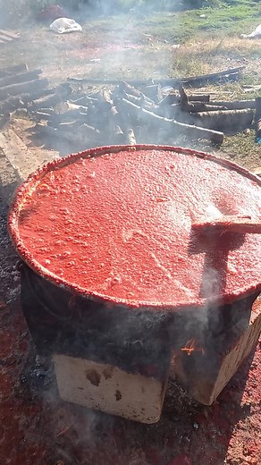 Bubbling Cauldron: Cooking a Delicious Red Sauce
